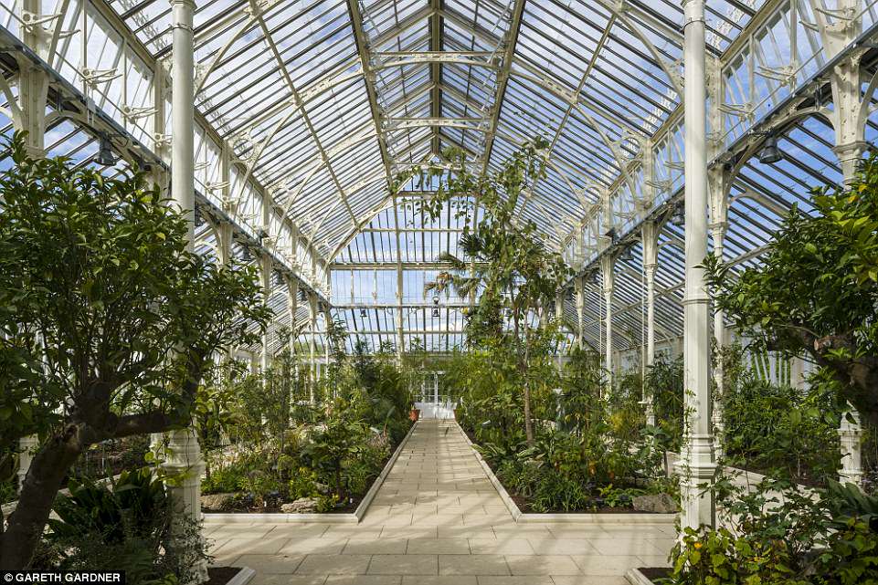 4bce077700000578-5686615-the_temperate_house_will_tell_the_stories_of_the_plants_that_kew-a-1_1525377532413 The Temperate House will tell the stories of the plants that Kew has rescued, and the journeys they have taken to reach their new home