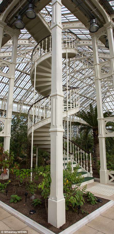 4bce456300000578-5686615-image-m-46_1525378586202 The Grade I listed building is the largest Victorian glasshouse in the world, and twice the size of the Palm House