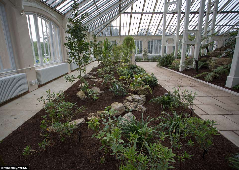 4bce45c600000578-5686615-image-a-18_1525378252407 Sir David Attenborough said: 'Human beings are taking over so much of the planet and the climate is changing so that areas where plants once grew they can't grow anymore.'