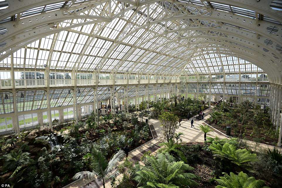 4bce486a00000578-5686615-image-a-7_1525377852198 Rescued plants will reside in the spectacular space and their stories will be told to hundreds of thousands of visitors annually