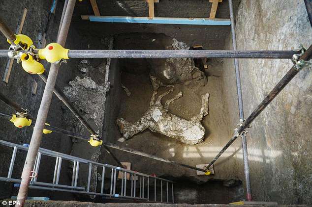 The horse (pictured) was found in an area now known as Civita Giuliana, to the north of the ancient city and outside of its protective walls.