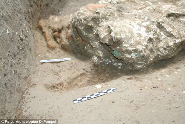 Archaeologists say a distinct imprint in the ground created by the creature's ear (pictured) as it lay on its left side confirms this was a horse, and not another form of equine. While none of its muscles or bones remained, plaster was used to fill in these gaps to create a full body cast