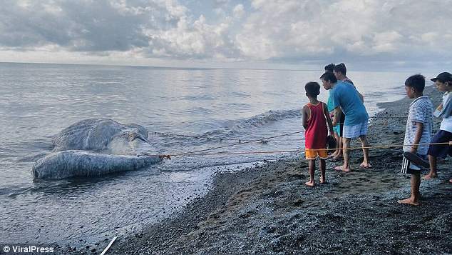 Children gaze incredulously at the beast, which has sparked anxiety among residents