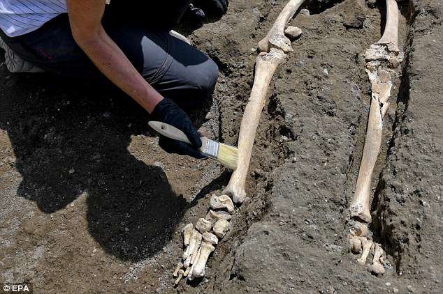 Of the 1,150 bodies recovered by archaeologists at Pompeii, 394 were killed by falling pumice and debris from collapsed buildings