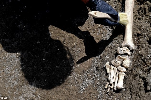 An early analysis of his foot (pictured) suggests he was disabled due to a leg injury that left him unable to escape when the volcano blew in 79 AD, burying Pompeii in rock and ash