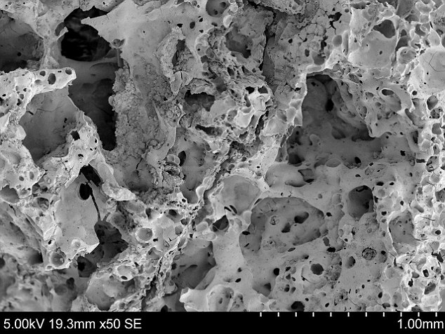 Tantalising clues of the charred remains of a flatbread like loaf were discovered at the site. This image shows a scanning electron microscope (SEM) image of a bread-like product found in the firepits uncovered in the area