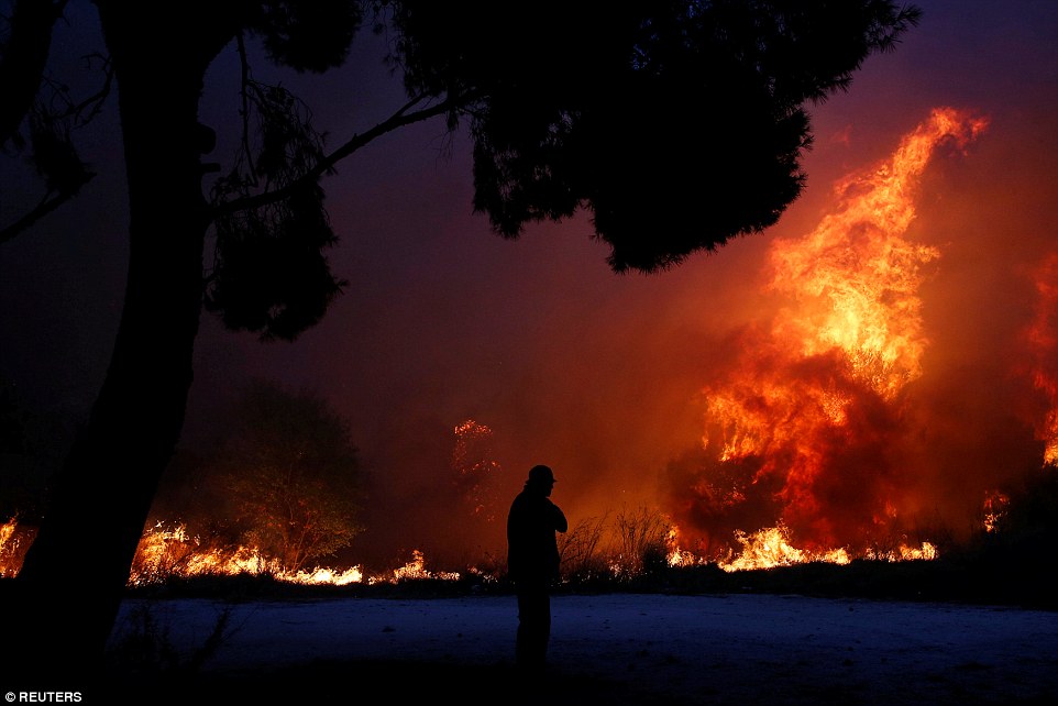 A man  prepares to battle the flames in Rafina, Greece. The wildfires started on Monday but became progressively worse overnight