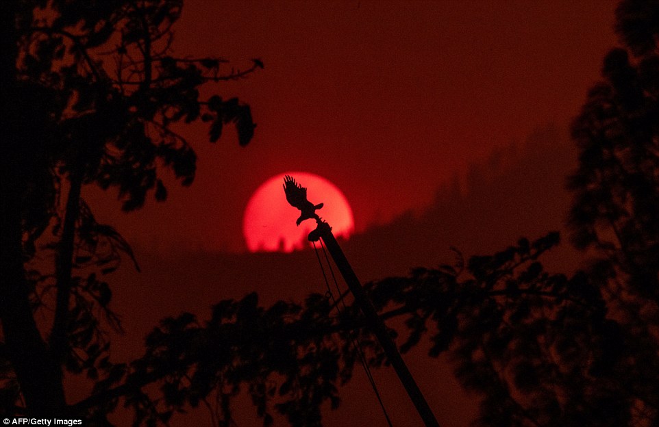 An eagle ornament at the top of a damaged flag pole is seen against the setting sun during the Carr fire in Redding, California, on Friday
