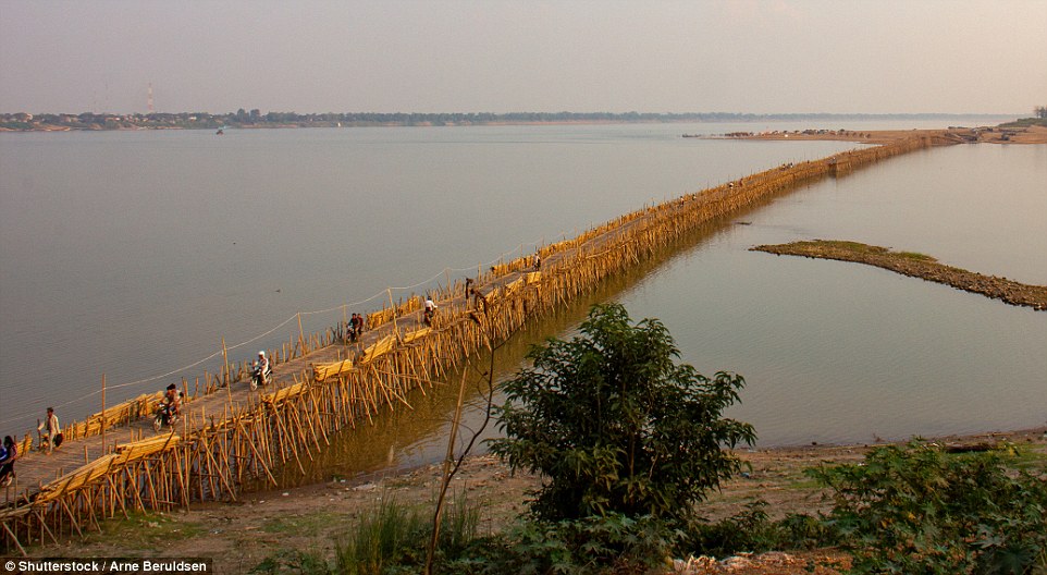 4eca46d500000578-6023301-image-m-11_1533298172665 The incredible 3,300ft bamboo bridge in Cambodia that is taken down and rebuilt every single year using 50,000 sticks of bamboo