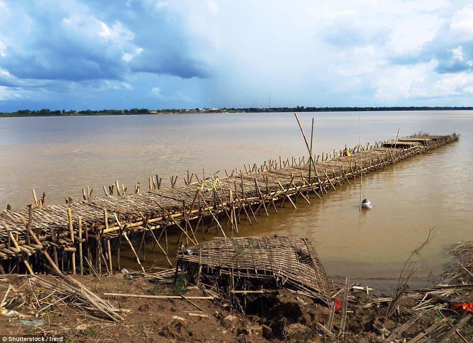 4eca46e600000578-6023301-image-a-24_1533298235761 The first part of a narrower bamboo bridge being constructed in Cambodia that will only take pedestrians and cyclists