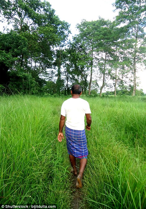 Payeng visits the forest daily and says the plants and wildlife are family to him