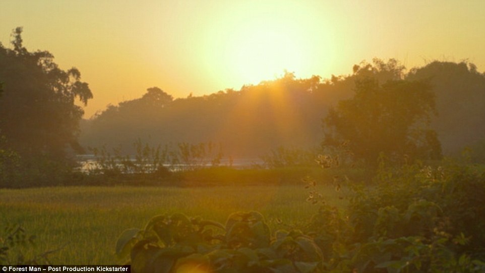 Payeng says his dream is to fill up Majuli Island (pictured) with forest again, with 5,000 acres being his goal