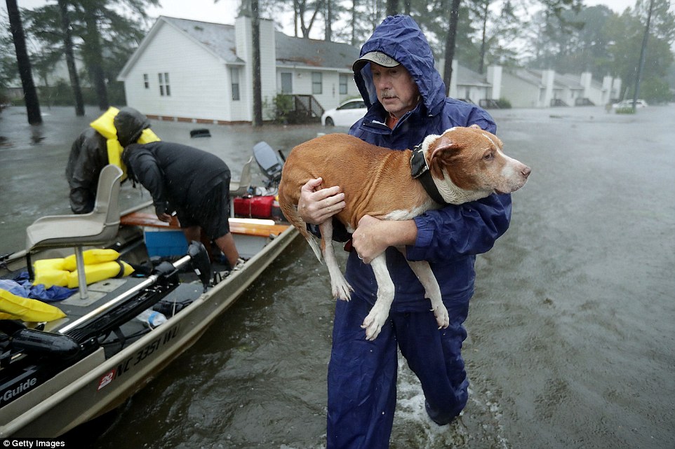 502f819400000578-0-image-a-9_1536975386939 Flooding from the heavy rain is forcing hundreds of people to call for emergency rescues in the area around New Bern, North Carolina, which sits at the confluence of the Nuese and Trent rivers