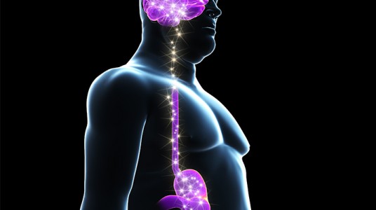 54d765ced6a37article_309_1-1 نقطة الهاشمي لشبع المعدة