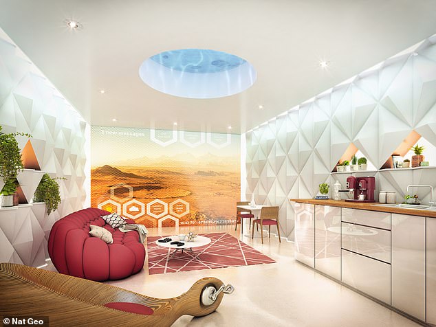 5876938-0-image-a-10_1541584796119 The first home is targeted at young professionals and is an apartment that features a garden, tinted windows and a water filled skylight (pictured)