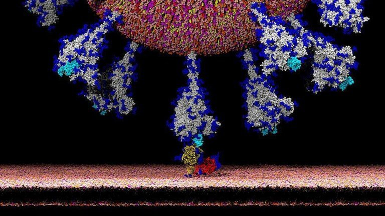 5f840a0e423604614b378a6a كورونا