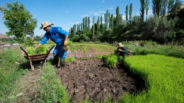 اقض عطلة نهاية الأسبوع بجبال ألبرز الإيرانية اقض عطلة نهاية الأسبوع بجبال ألبرز الإيرانية