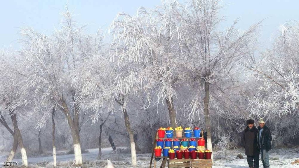 68301865000000_169_1024