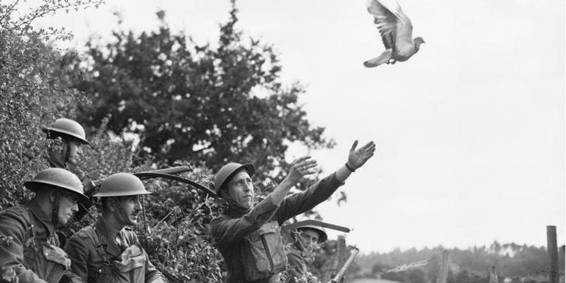 6ef34ec2-2936-47ef-a23c-f143f18cb2ce