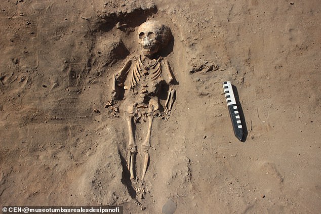 7279020-0-image-a-11_1544524718664