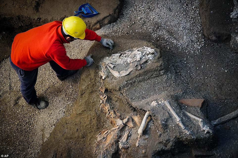 The majestic animal was tall horse, well-groomed and had a saddle fitted with richly decorated bronze trimmings, experts reveal 