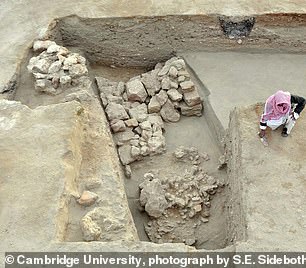 8104288-6555585-image-m-43_1546555877133