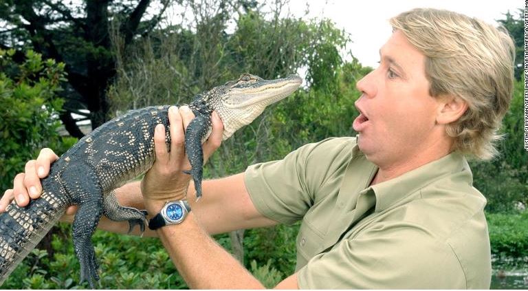 جوجل تحتفل بذكرى ستيف إروين (5) جوجل تحتفل بذكرى ستيف إروين (5)