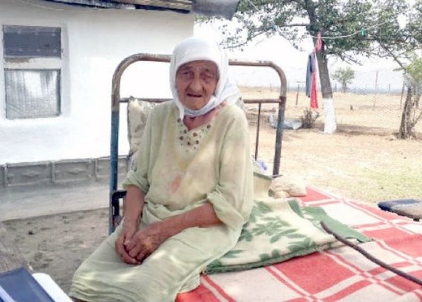 14150072621539513985 14150072621539513985