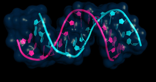 8aa90308b7d228de41fef0ab73e3f81e-1 هل يمكن الكشف المبكر عن مرض السرطان في مرضى السكتات الدماغية عن طريق الجينات؟