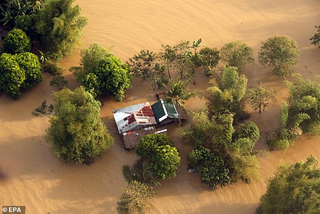 9185194-6649215-image-a-31_1548864887656 A house is flooded in the typhoon-hit province of Camarines Sur, Philippines earlier this month