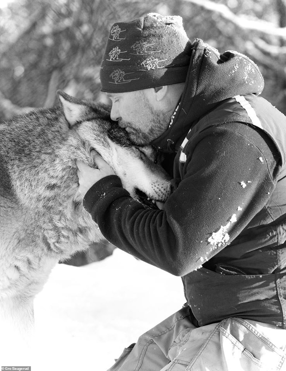 9742844-6681125-image-a-19_1550012616203 'I feel so lucky to have a relationship with these amazing animals and see them everyday,' Frank said. He shares a tender moment with a wolf from his pack at Langedrag Nature Park