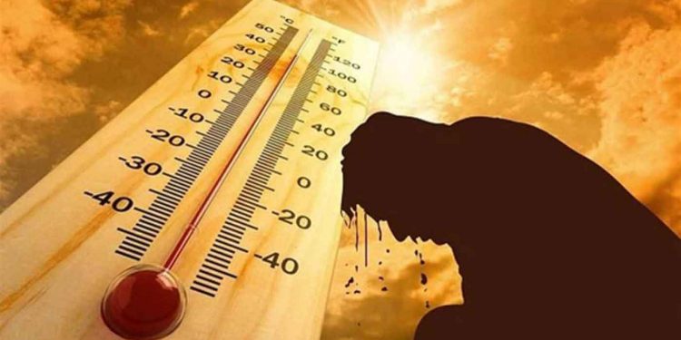 988989-1-750x375-2 2019.. ثاني أشد الأعوام سخونة في التاريخ