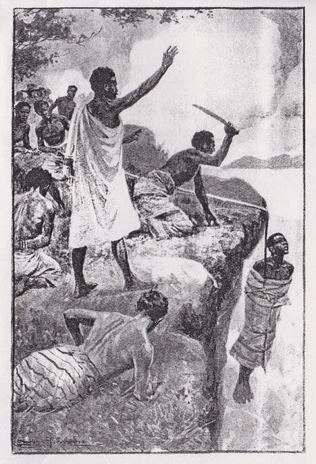 9ce96c90-4034-49fa-ae94-b475f2685e80