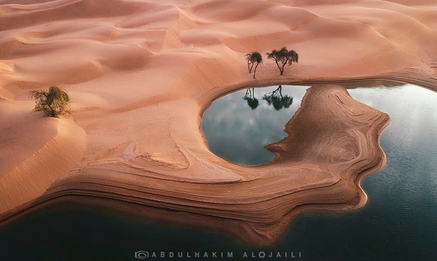 a3948902-046c-4955-91e6-1a302f8cb660