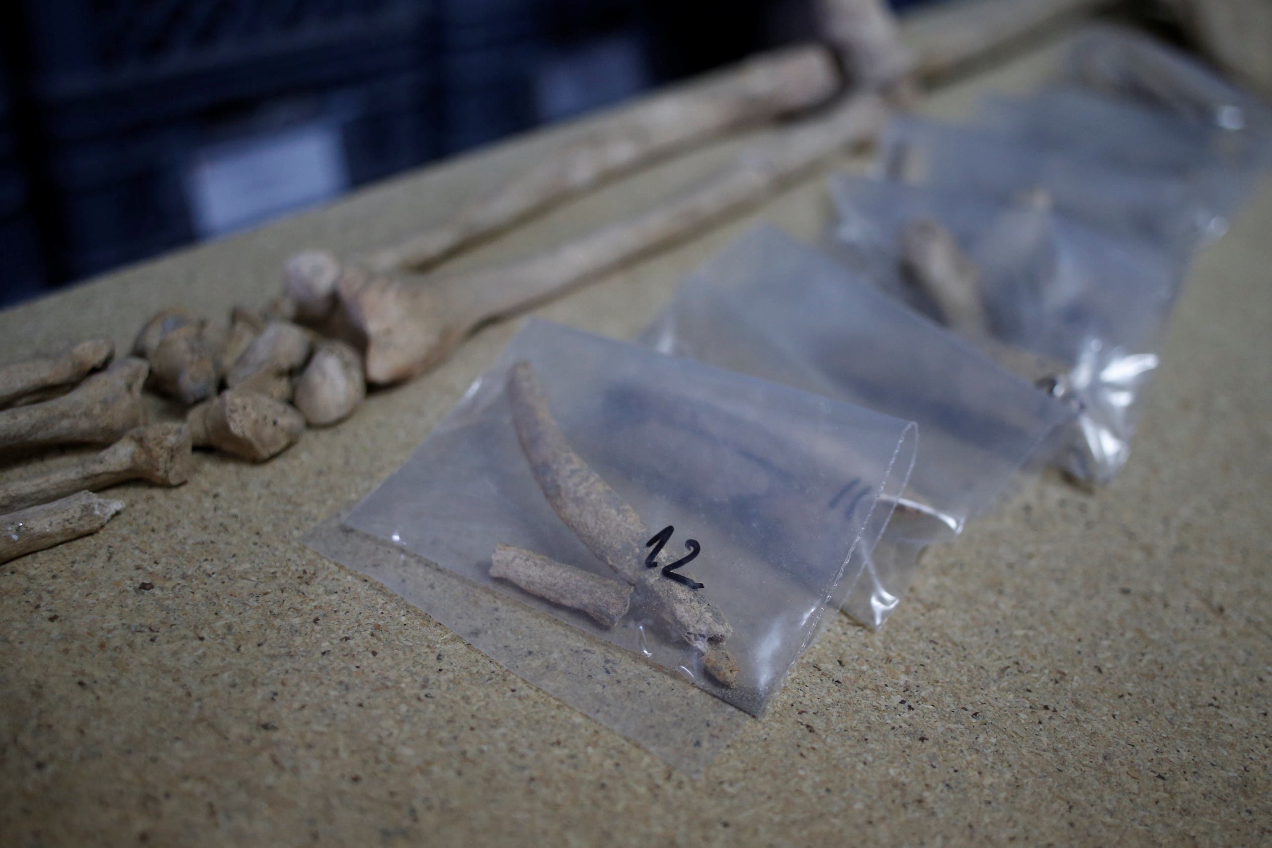 a7a81811-77f5-46d6-901f-dd38c2073dd1