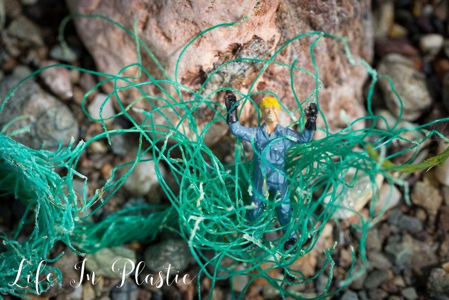 a95c159a-554e-46c0-abdb-7ef1232bba67