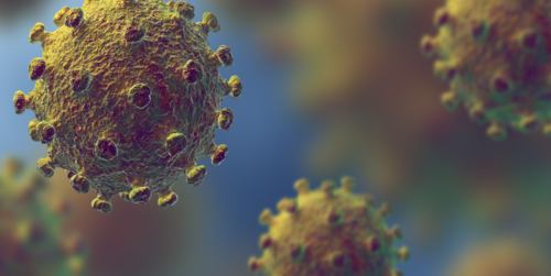 ae64ef1237d9a68462bd73728e86f736-1 أول حالة في مصر لفيروس كورونا الجديد