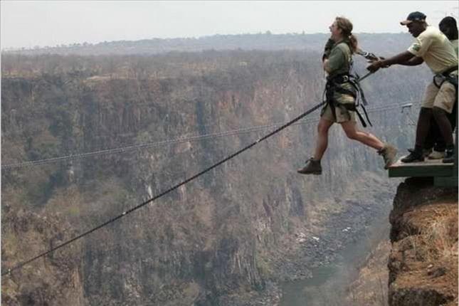 ambis صورة ذات صلة