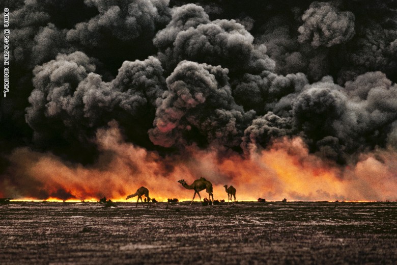 من الكويت إلى كمبوديا.. مصور يوثق العلاقة بين الإنسان والحيوان من الكويت إلى كمبوديا.. مصور يوثق العلاقة بين الإنسان والحيوان