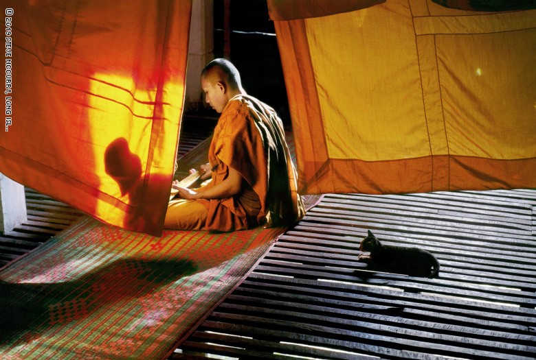 من الكويت إلى كمبوديا.. مصور يوثق العلاقة بين الإنسان والحيوان من الكويت إلى كمبوديا.. مصور يوثق العلاقة بين الإنسان والحيوان