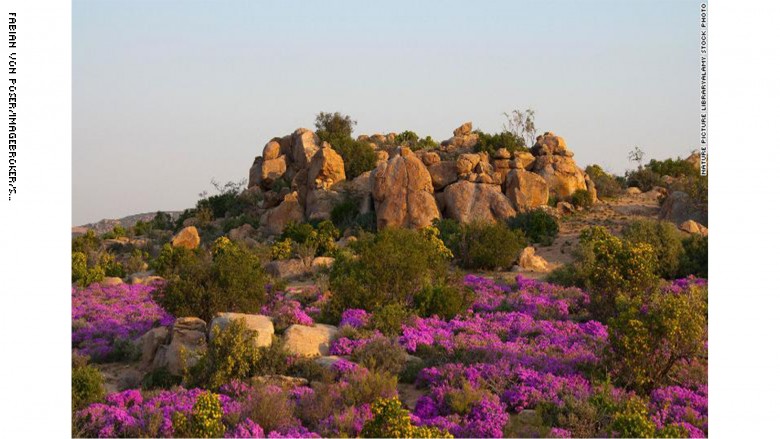 صحراء كارو في جنوب إفريقيا صحراء كارو في جنوب إفريقيا