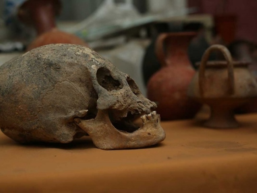 b_181118068 ÙØªÙجة Ø¨ØØ« Ø§ÙØµÙر ع٠بÙÙÙÙÙØ§