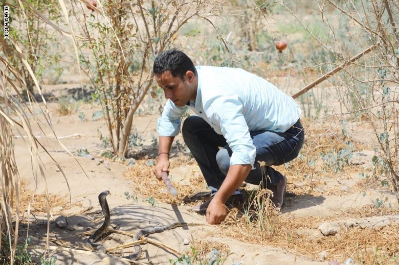 بقلوب جريئة.. كيف يعيش هذا الرجل وأطفاله مع الثعابين في مصر؟ بقلوب جريئة.. كيف يعيش هذا الرجل وأطفاله مع الثعابين في مصر؟