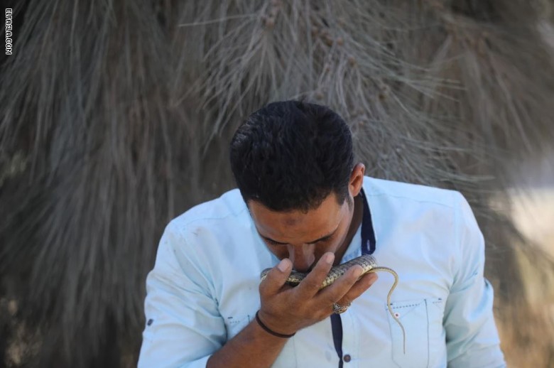 بقلوب جريئة.. كيف يعيش هذا الرجل وأطفاله مع الثعابين في مصر؟ بقلوب جريئة.. كيف يعيش هذا الرجل وأطفاله مع الثعابين في مصر؟
