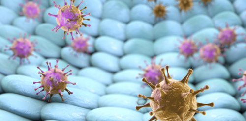 ce89acdcfb208ed81793c9636087b03b-1 متلازمة الشرق الأوسط التنفسية في السعودية، وقطر، والإمارات