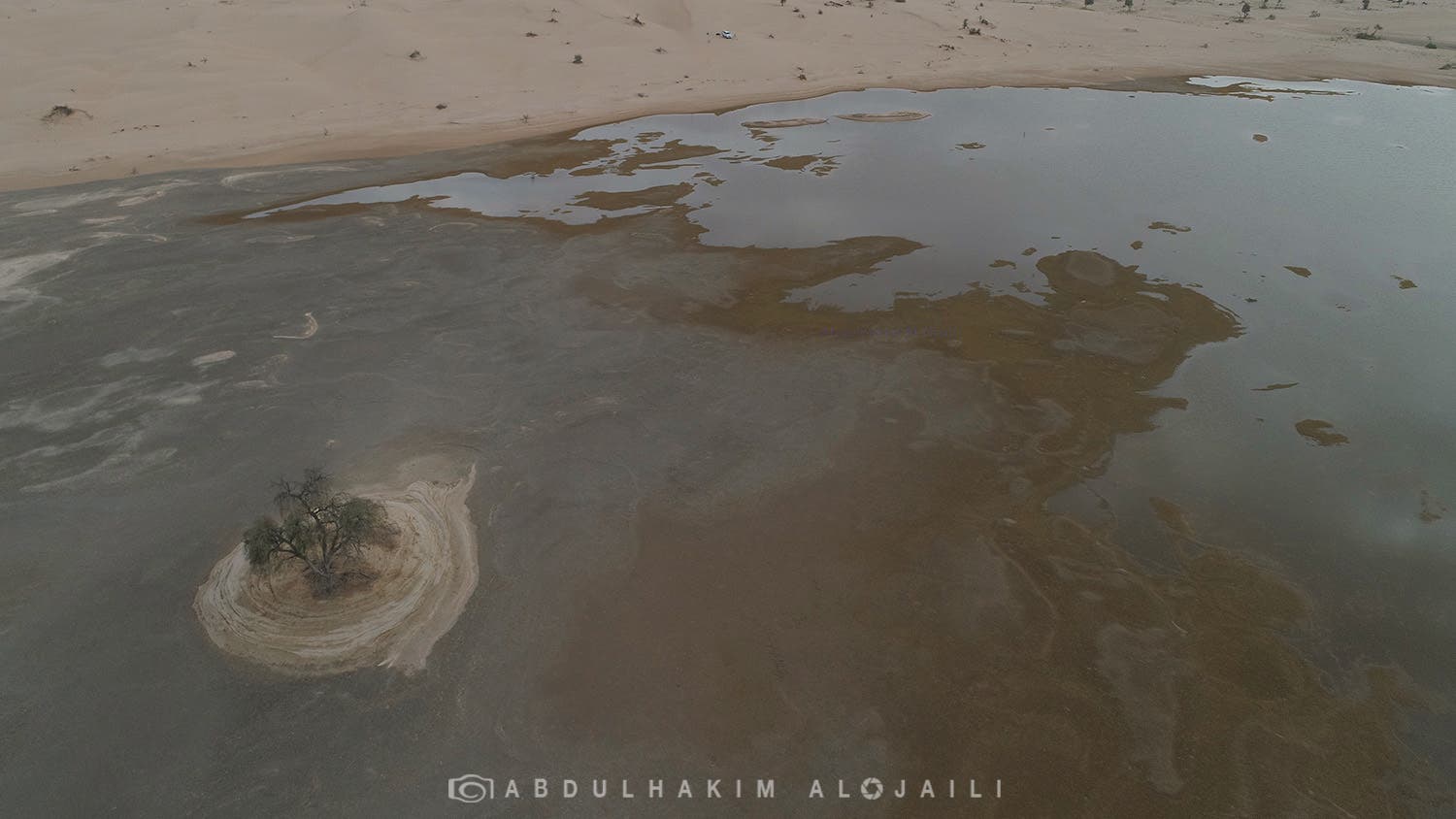 d0c20802-ae26-4304-ae26-ca2d12f54eda