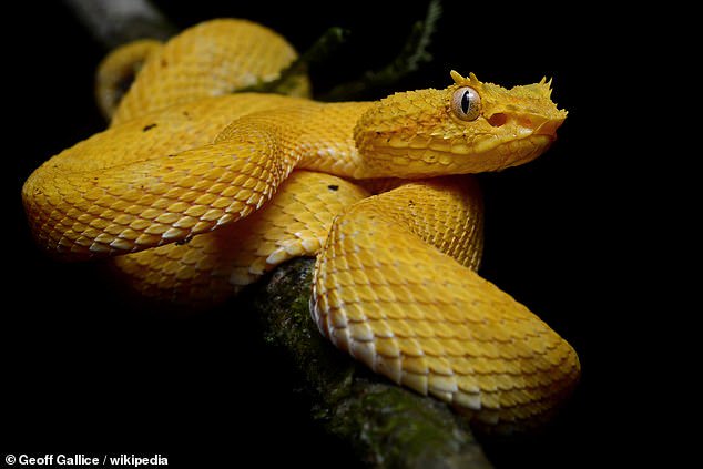 d2ibrd4x0ae5mqa https://mrahba.com/wp-content/uploads/2020/10/d2ibrd4x0ae5mqa.jpg