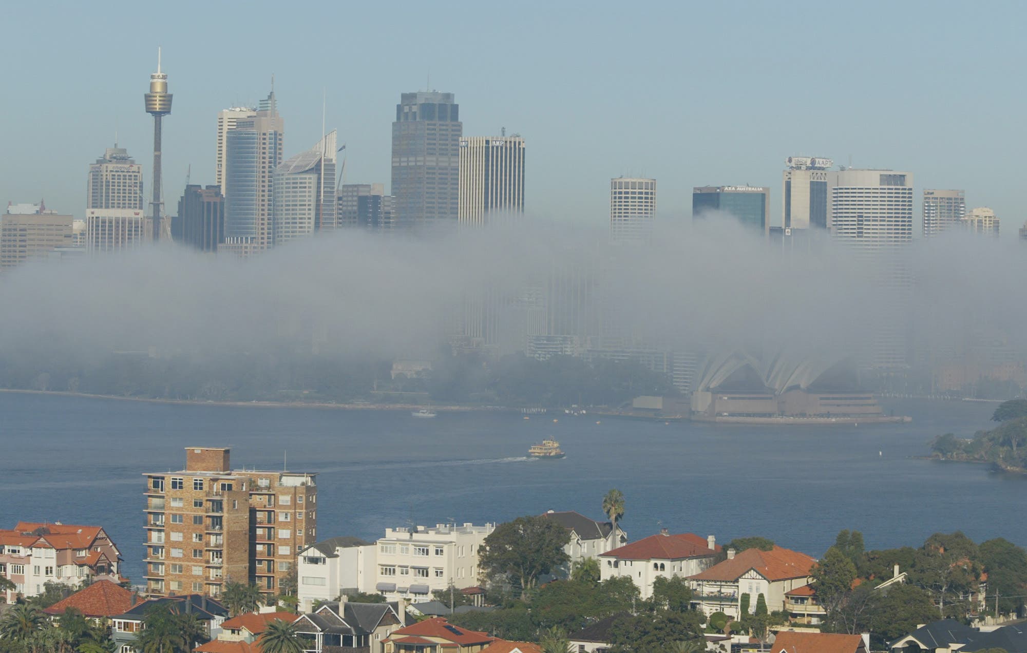 d419b82e-9d50-48bf-8c3b-abd7d95f5d56