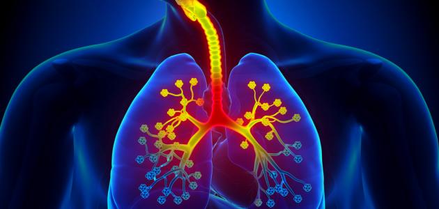 أسباب التهاب القصبات الهوائية أسباب التهاب القصبات الهوائية