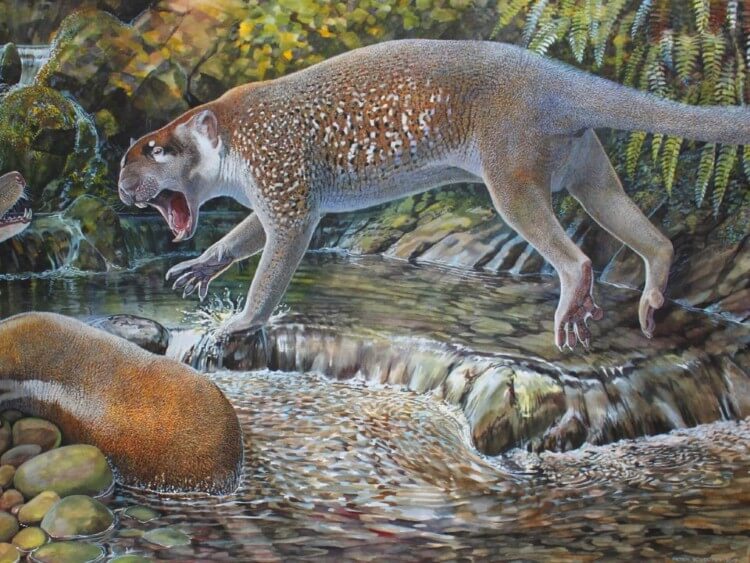 d8a3d8b3d8af-d8acd8b1d8a7d8a8d98a أسد جرابي